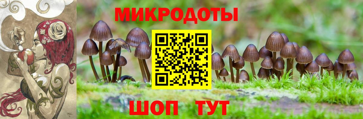 Галлюциногенные грибы Magic Shrooms Гудермес
